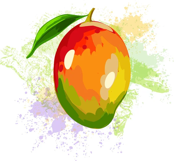 Mango on spots of paint — Stock Vector