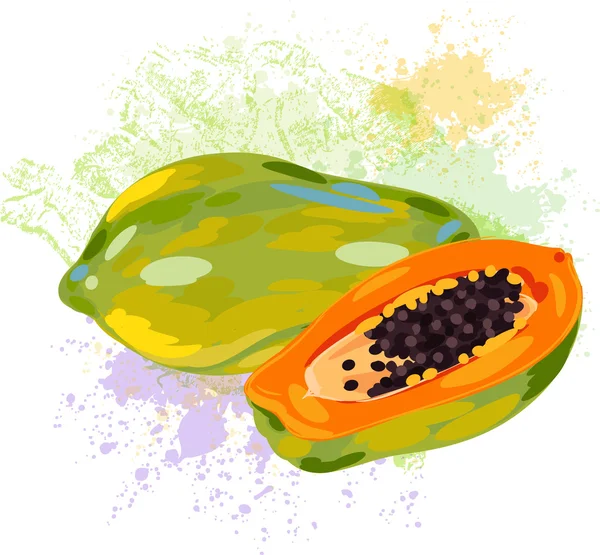 Papaya on spots of paint — Stock Vector