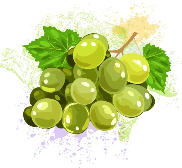 Grapes on background of grunge spots — Stock Vector