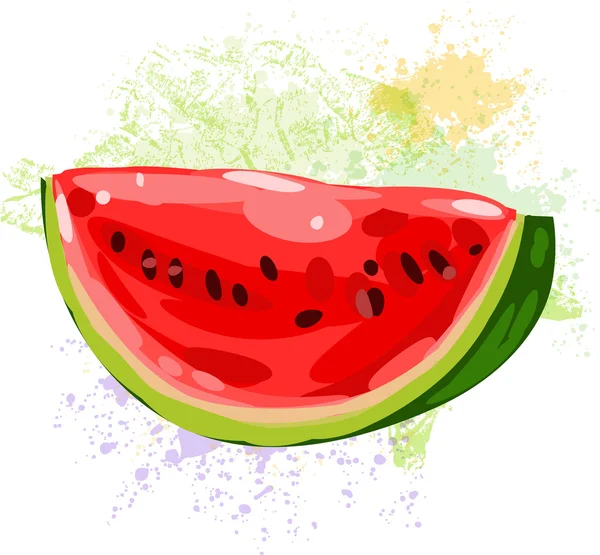 Watermelon slice on spots of paint — Stock Vector