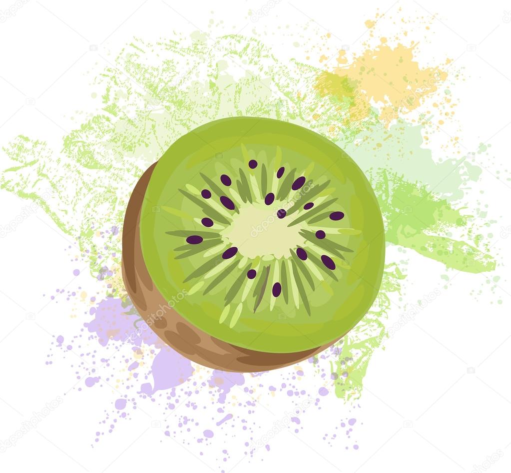 Fetta di frutta del kiwi su macchie di grunge — vettoriali stock ... Macchie di frutta