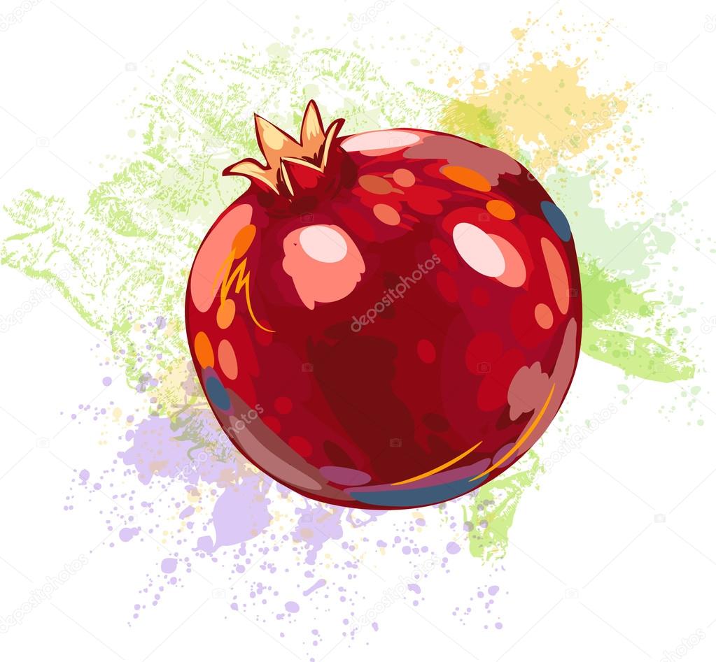 Pomegranate on background of grunge spots