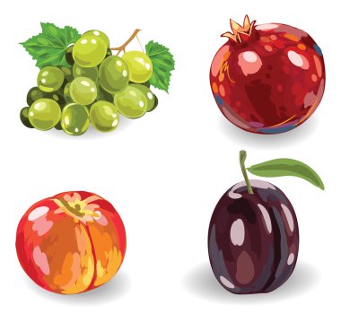 Elle çizilmiş meyve ayarla