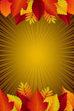 güzel sonbahar arka plan