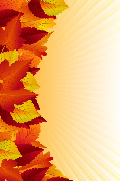 Bellissimo sfondo autunno — Vettoriale Stock