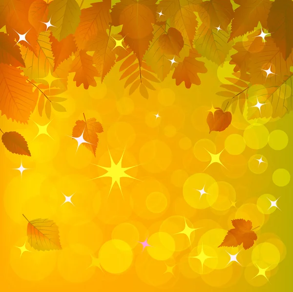 Beautiful Autumn Background — Stock Vector