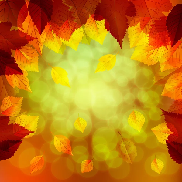 Beautiful Autumn Background — Stock Vector