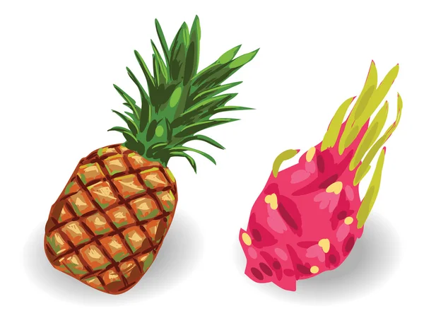 Ananas en Dragon fruit set — Stockvector