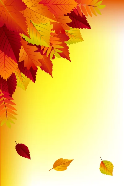 Schöner Herbsthintergrund — Stockvektor
