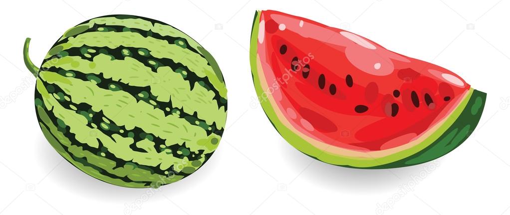 Hand drawn Watermelon set