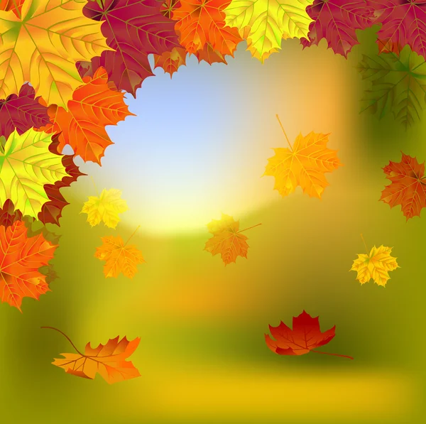 Fundo de outono com folhas — Vetor de Stock
