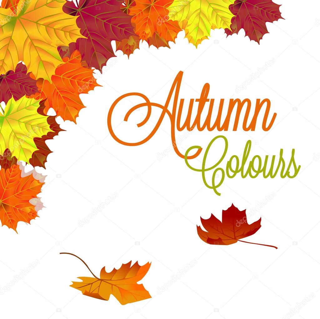 Autumn Background with leaves