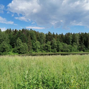 Güneşli bir günde yaz manzarası