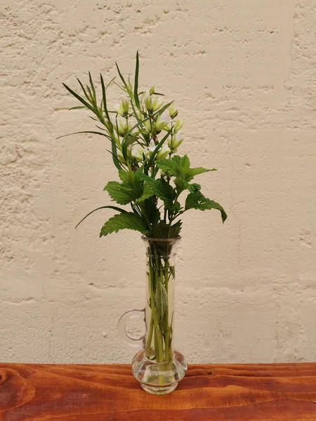 Ramo Especias Salvia — Foto de Stock