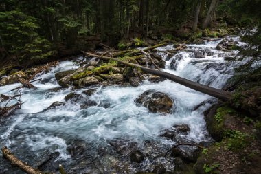 Gonachkhir - Dombai, kuklalarına zayiat verdi-Çerkez Cumhuriyeti nehirde dağ.