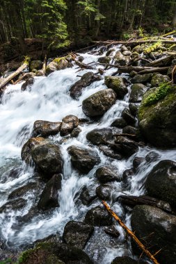 Gonachkhir - Dombai, kuklalarına zayiat verdi-Çerkez Cumhuriyeti nehirde dağ.
