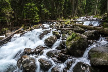 Gonachkhir - Dombai, kuklalarına zayiat verdi-Çerkez Cumhuriyeti nehirde dağ.