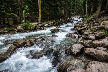 Gonachkhir - Dombai, kuklalarına zayiat verdi-Çerkez Cumhuriyeti nehirde dağ.