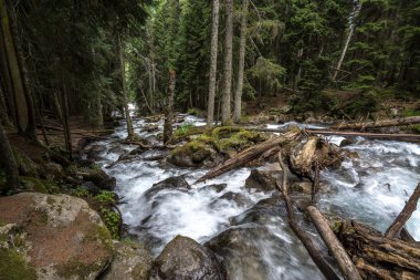 Gonachkhir - Dombai, kuklalarına zayiat verdi-Çerkez Cumhuriyeti nehirde dağ.