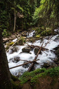 Gonachkhir - Dombai, kuklalarına zayiat verdi-Çerkez Cumhuriyeti nehirde dağ.