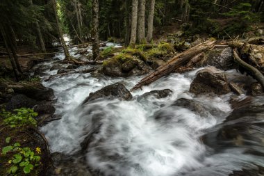 Gonachkhir - Dombai, kuklalarına zayiat verdi-Çerkez Cumhuriyeti nehirde dağ.