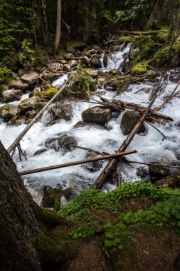 Gonachkhir - Dombai, kuklalarına zayiat verdi-Çerkez Cumhuriyeti nehirde dağ.