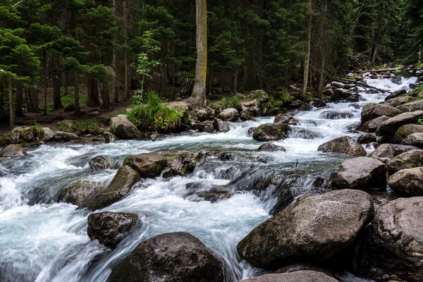 Gonachkhir - berg flod i Dombai, Karachay-Cherkessia. — Stockfoto