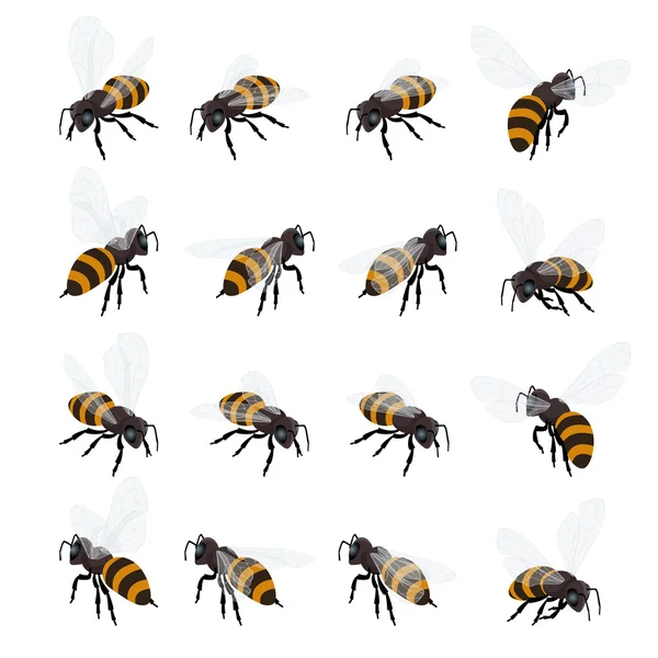 꿀 꿀벌 벡터 흰색 배경 설정입니다. 평면 3 차원 벡터 분해 그림. 꿀 자연 건강 식품 생산. — 스톡 벡터