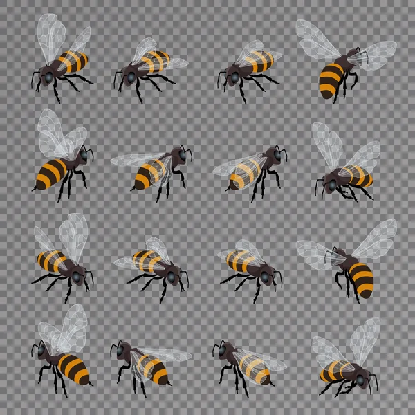 Ensemble vecteur abeille miel sur un fond transparent. Illustration isométrique vectorielle 3D plate. Miel naturel production alimentaire saine . — Image vectorielle