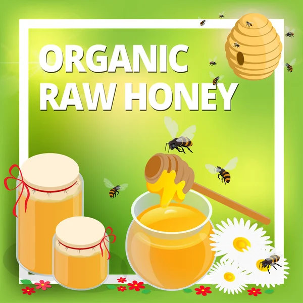 Ekologisk rå honung koncept. Bikakestruktur honung slev, honey bee, honung dipper, blommor, honung vax. Produktion av hälsosamma livsmedel. — Stock vektor