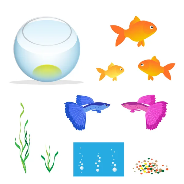 Izometrikus akváriumi halak, a moszatok és a dekoráció. — Stock Vector