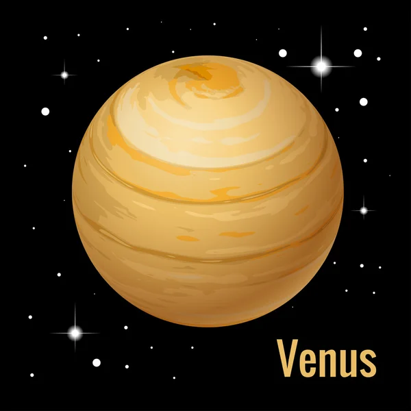 Planeet Venus. Hoge kwaliteit isometrische zonnestelsel planeten. — Stockvector