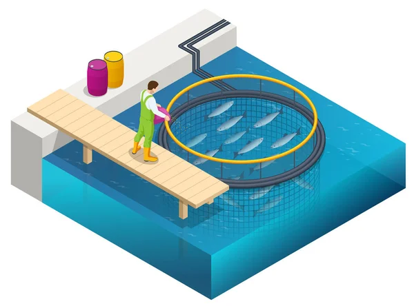 Isometric Fish Farm. Producing Trout and Salmon, Carp, Tilapia, and Catfish. Fish farming or pisciculture involves raising fish commercially in tanks or enclosures such as fish ponds for food. — Stock Vector