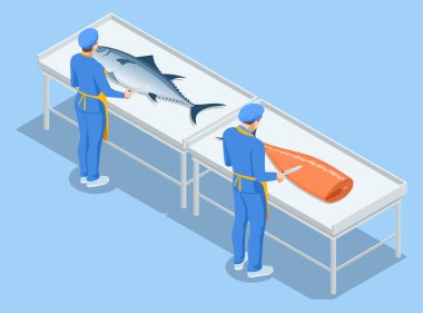 Isometric balık endüstrisi deniz ürünleri üretimi, balık tasnif konsepti. Ön satış hazırlığı.