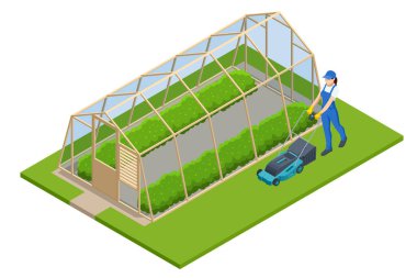 Isome serası beyazdan izole edilmiş. Glasshouse 'da fidanlar yetişiyor. Serada mahsul yetiştirir