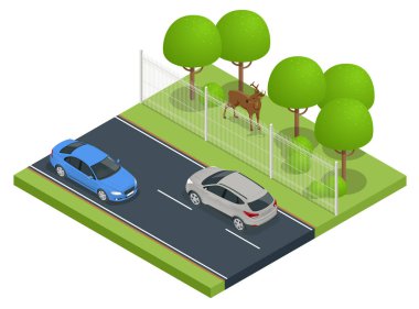 Vahşi hayvanlardan otobanı çitle çeviren Isome 'lar. Yol kenarındaki koruyucu ağ vahşi hayvanlardan korunuyor.