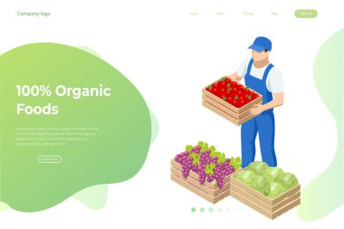 Elma, lahana ve üzüm dolu bir kutu tutan Isome çiftçisi. Tahta kutuda taze elma hasat eden çiftçi. Tarım ve bahçıvanlık kavramı