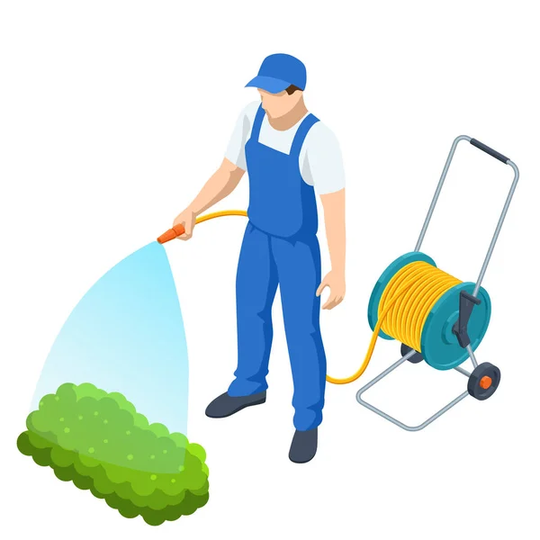 Agricultural work. Isometric farmer watering a vegetable garden. Gardener with watering hose and sprayer water on the vegetable — Stock Vector