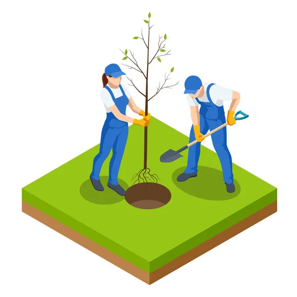 Isometrischer Community Work Day. Umweltschutzkonzept. Ehrenamtliche Gruppen pflanzen Bäume im Stadtpark. Menschen pflanzen Obstbäume — Stockvektor