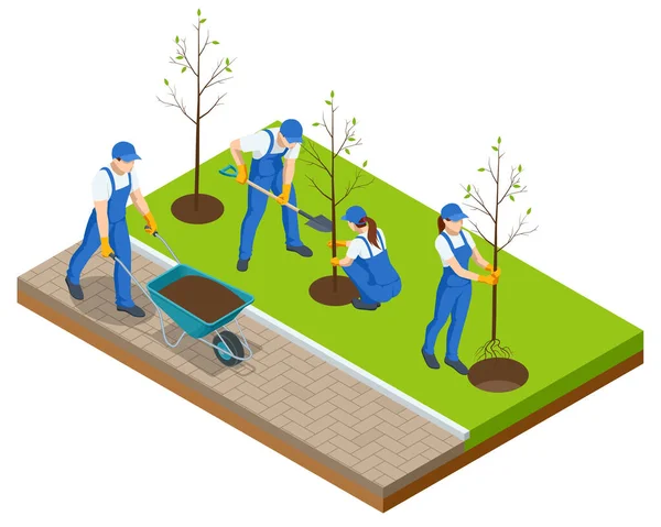 Isometrischer Community Work Day. Umweltschutzkonzept. Ehrenamtliche Gruppen pflanzen Bäume im Stadtpark. Menschen pflanzen Obstbäume — Stockvektor
