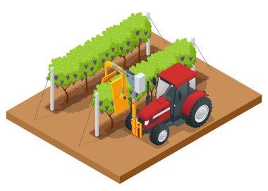Isometric Mechanical Grape Harvester, sarmaşığı kauçuk çubuklarla döverek meyveyi konveyör bandına düşürerek meyveleri taşıyıcı kutuya koyuyor. Tarım işi