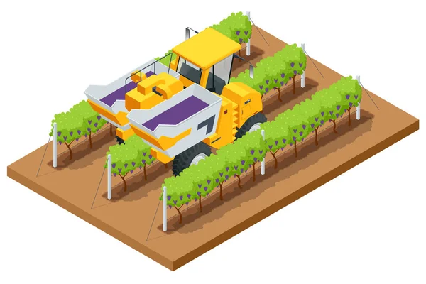 Isometric Mechanical Grape Harvester works by beating the vine with rubber sticks to get the vine to drop its fruit onto a conveyor belt that brings the fruit to a holding bin. Agricultural work — Stock Vector