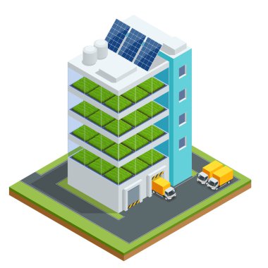 Isome modern uçak hidrofonik çiftliği. Gelecekteki Bitki gıda üretimi. Dikey olarak istiflenmiş gıda üretimi. Taze organik sebzeler, suda yetişen veya hidroponik tarım yapan bitkiler..