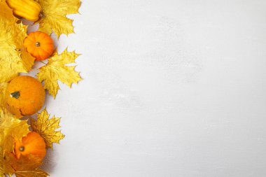 Beyaz arka planda balkabağı ve yapraklarla süslü bir sonbahar dekoru. Şükran Günü ya da Cadılar Bayramı kavramı. Fotokopi alanı olan düz sonbahar kompozisyonu. Yatay