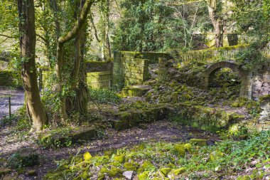 Lumsdale Vadisi eski kalıntılar