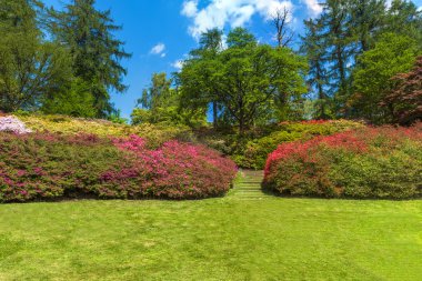 Surrey, İngiltere 'deki Virginia Su Parkı.