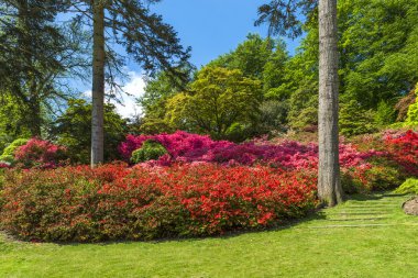 Surrey, İngiltere 'deki Virginia Su Parkı.