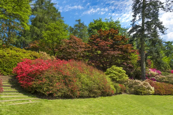 Surrey, İngiltere 'deki Virginia Su Parkı. — Stok fotoğraf