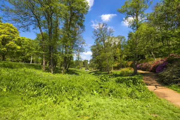 Virginia Water Park in Surrey, UK — Stock Photo, Image