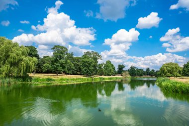 Hampton Court Park havuz